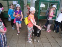 /album/fotogalereya/img-5818-1-jpg/